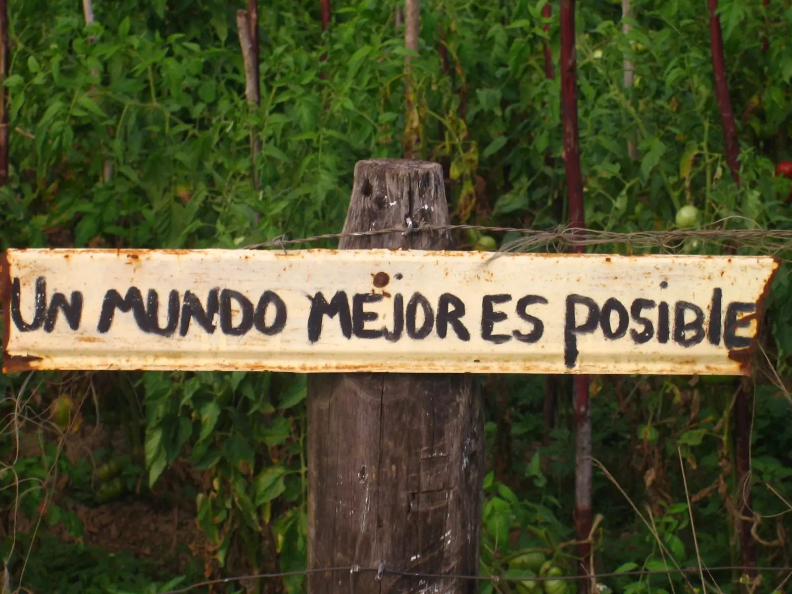 You are currently viewing Cuba février 2009 – Déjà l&rsquo;an dernier à Cuba