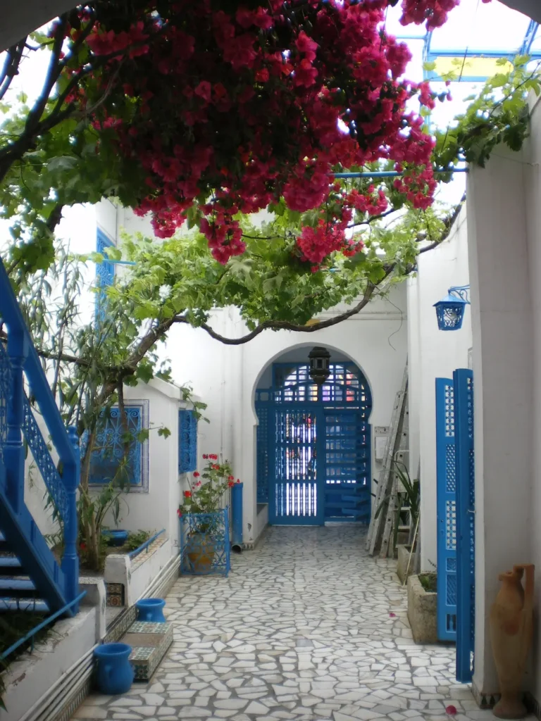 Sidi bou Saïd