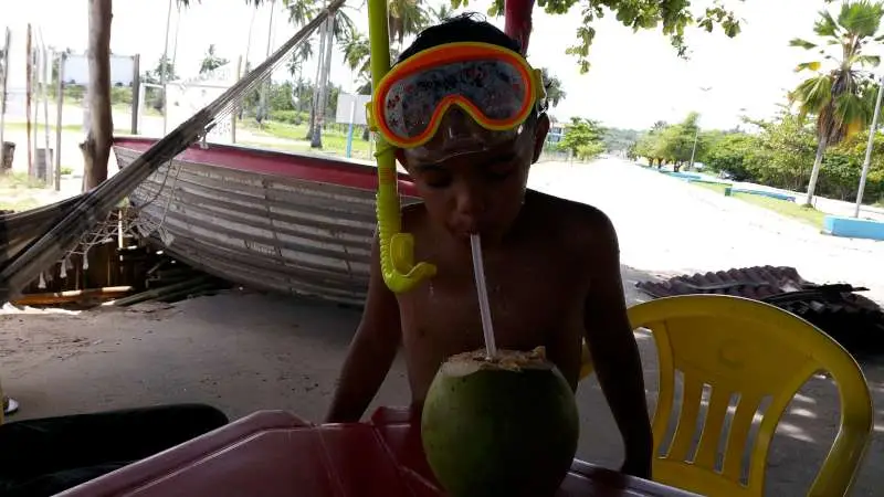 tuba et noix de coco