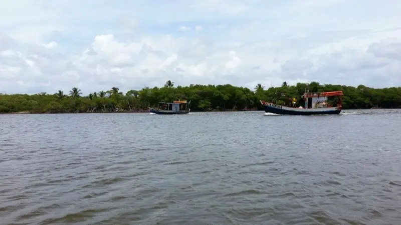 pêcheurs de crevettes