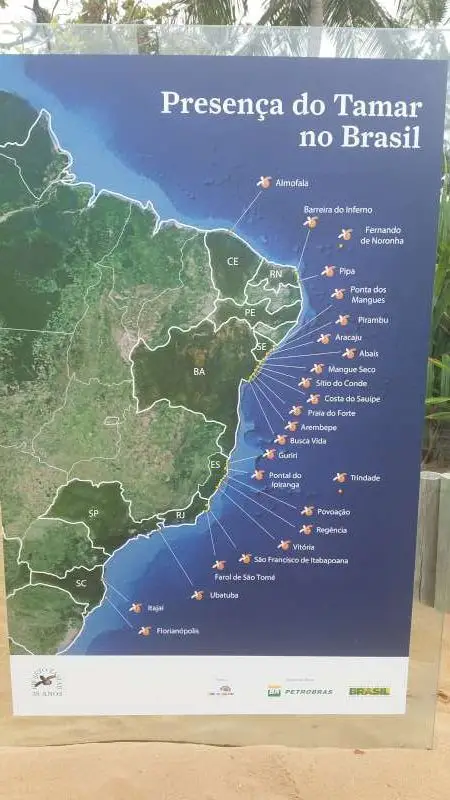 surveillance des côtes par le projet Tamar