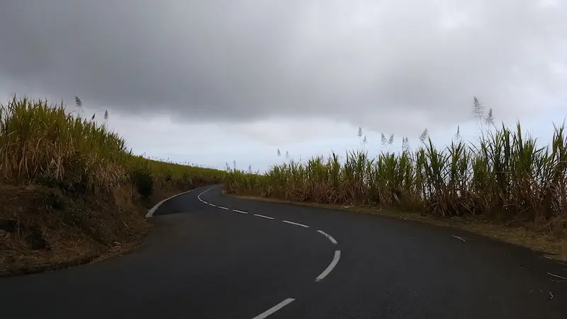la cane, côte Ouest