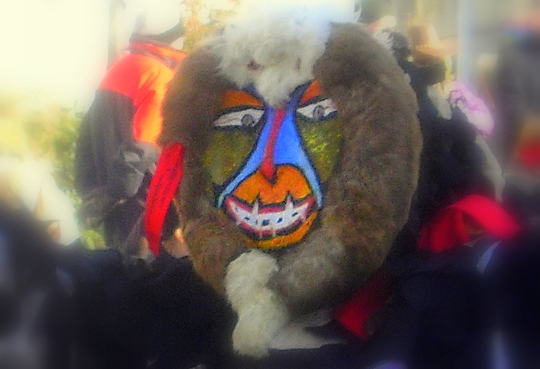 fasnet