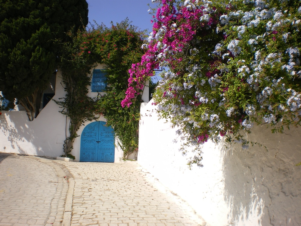 sidi bou said