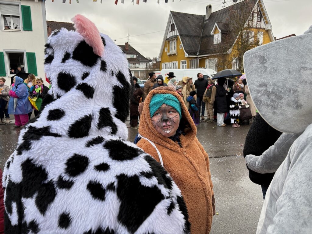 260218_Fasnet_6227 copie