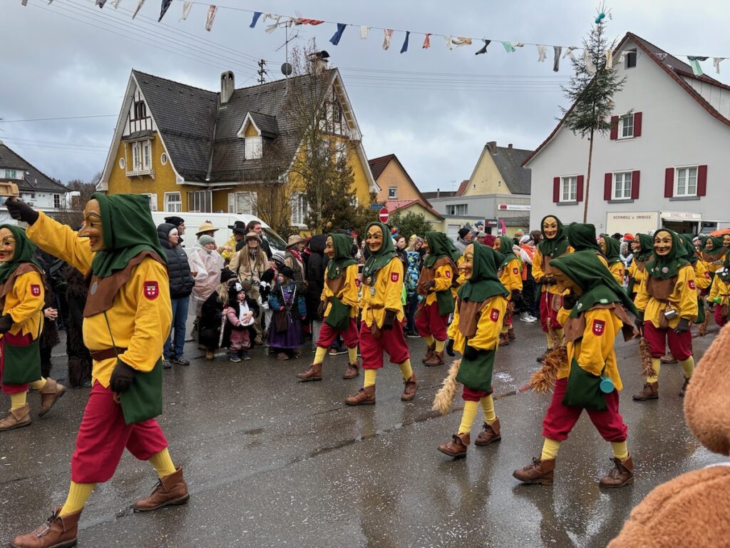 260218_Fasnet_6230 - copie