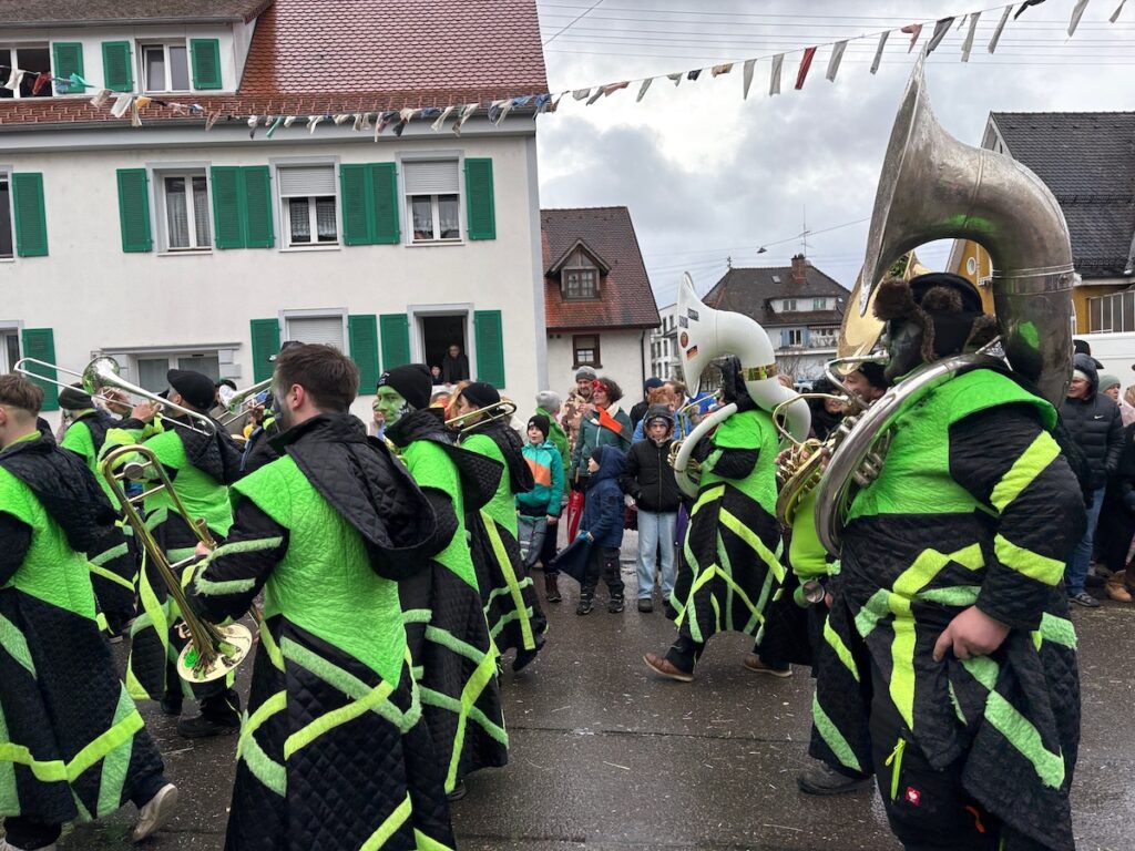 260218_Fasnet_6231 - copie