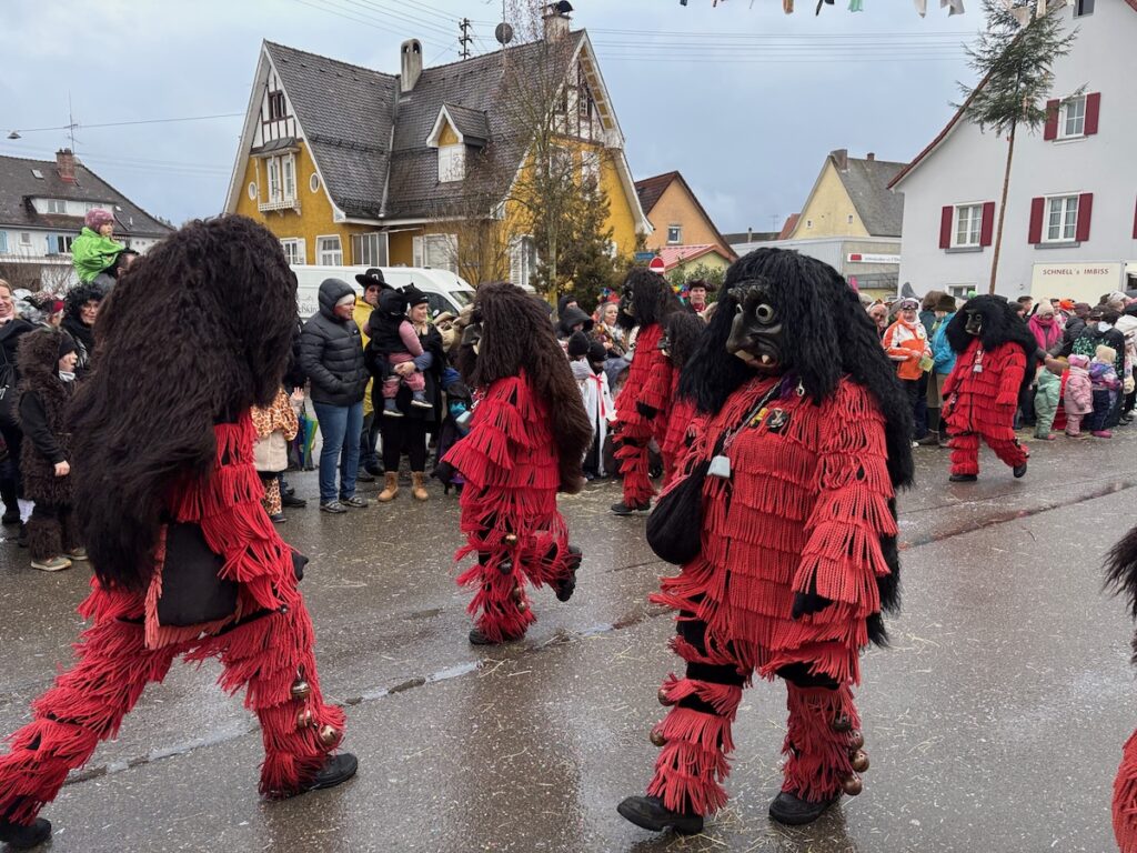 260218_Fasnet_6234 - copie