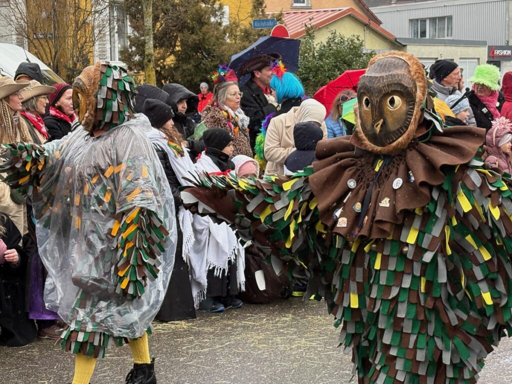 260218_Fasnet_6241 copie