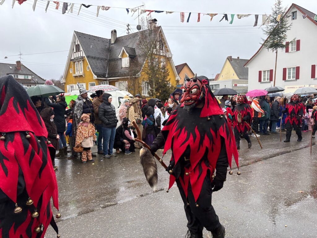 260218_Fasnet_6247 - copie