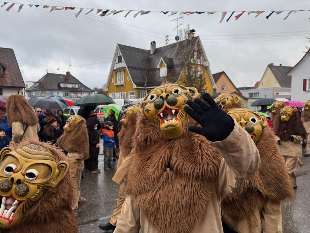 260218_Fasnet_6252 copie